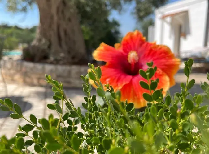 مزرعة للإقامة Masseria I Raffi مونوبولي