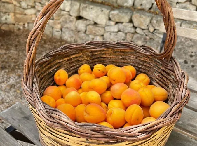 Masseria I Raffi مزرعة للإقامة *