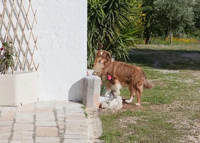 Masseria I Raffi * مونوبولي