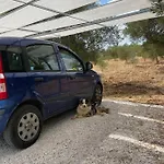 Masseria I Raffi *
