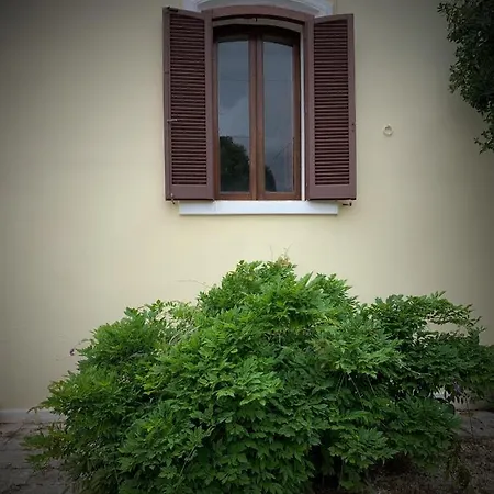 Masseria I Raffi Κατάλυμα σε φάρμα