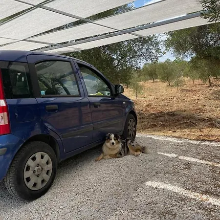Masseria I Raffi *