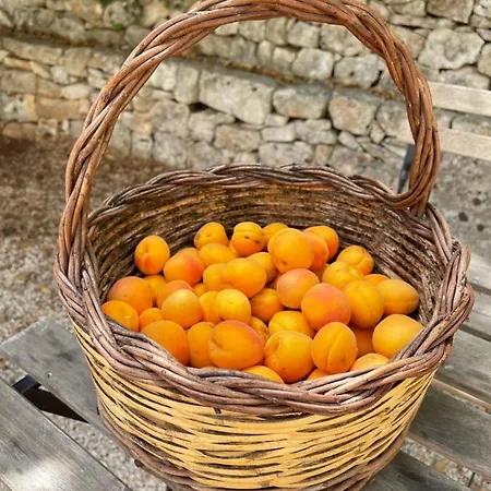 Masseria I Raffi Vakantieboerderij *