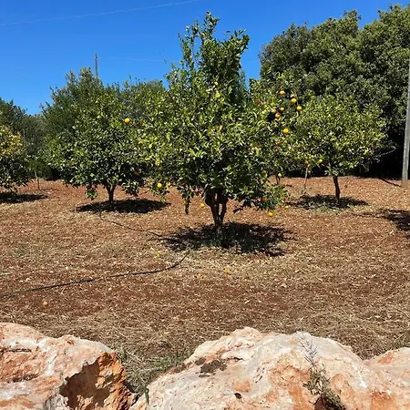 Masseria I Raffi Monopoli