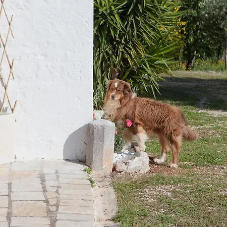 Masseria I Raffi * Monopoli