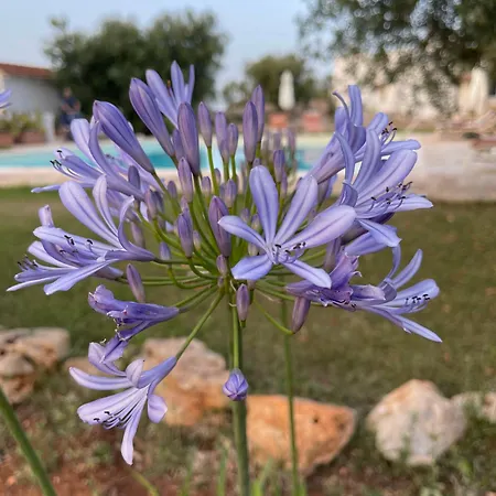 Masseria I Raffi * Monopoli